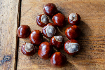 A collection of horse chestnuts on a table.