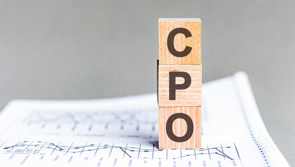 text CPO - Cost Per Order - acronym concept on cubes and diagrams on a gray background, business as...