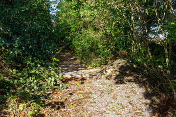Leamside line mothballed railway at Sulgrave, Washington UK, under discussion for re-opening, with a Washington loop Tyne and Wear Metro expansion.