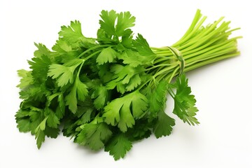 bunch of fresh parsley on white background