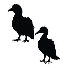 Megapode Silhouette on Clean White Background