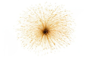 fireworks on white background AI generated image