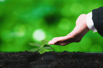 Businessman grow and nurture plant on fertilized soil concept of eco company committed to corporate...