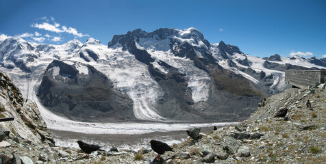 At the spectacular Gornergrat viewpoint, ice and snow and some alpine crows in the foreground. Switzerland
