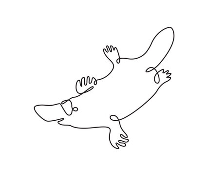 Platypus one continous line.  platypus in outline. stock illustration