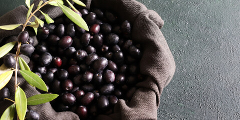 Primo piano delle olive nere e del ramo di ulivo su fondo grigio. Olive fresche. Cibo salutare....