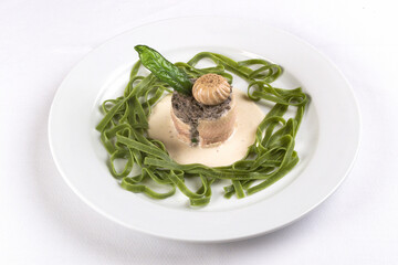 gourmet food, fish stuffed with mushrooms and green fettuccine, isolated on white background