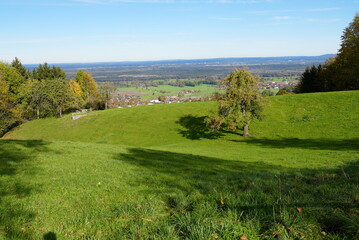 Fototapeta na wymiar landscape with grass