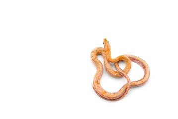 Beauty rat Snake isolated on white background