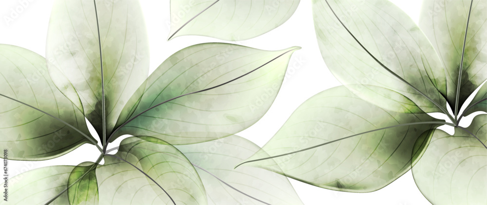 Poster abstract art background with transparent leaves of flowers or trees in green color. nature vector ba
