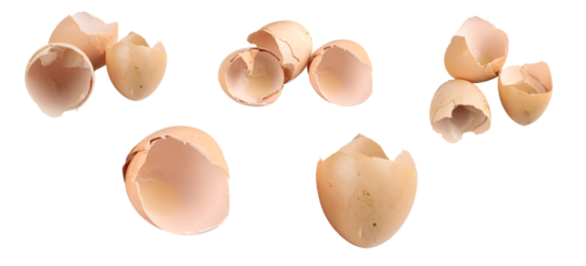 egg shells on white isolated background
