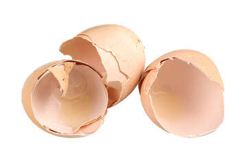 egg shells on white isolated background
