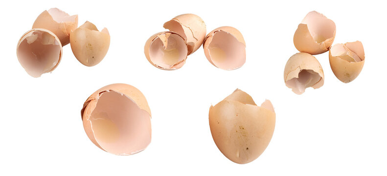 egg shells on white isolated background
