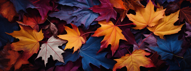 Naklejka na ściany i meble Colorful Foliage Stack with Moody Maple Leaves