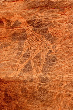 Giraffes - prehistoric petroglyphs, rock art in Tadrart Rouge, Tadrart Akkak, Sahara, Algeria, vertical view
