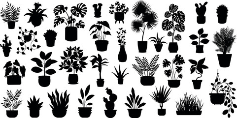 Set of different potted houseplants silhouettes. indoor flowers or plants in flowerpots or vases flat vector illustrations collection - obrazy, fototapety, plakaty