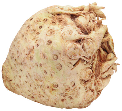 Celery root