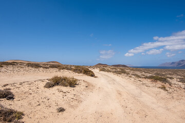 Desert landscape of white sand and desert bushes. Ocean and Famara cliff in the background. Dirt track. Sky with big white clouds. Lanzarote, Canary Islands, Spain.