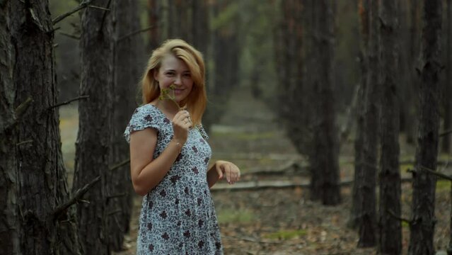 Trees in the forest form a perspective stretching into the distance and romantic girl in a summer sundress walking in the forest enjoying life