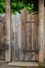 old wooden door, scratches, vintage metallic hadle and nature on the background, close-up