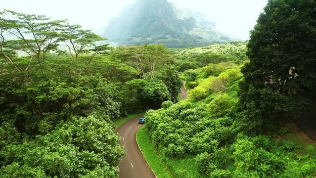 Drone Tahiti. Aerial view of Moorea, Belvedere lookout, Mount Rotui forest mountain jungle. Tropical island paradise, vacation in French Polynesia, Tahiti travel. 