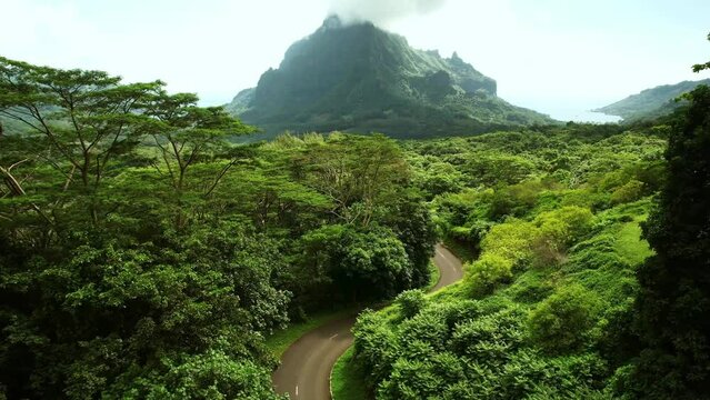 Drone Tahiti. Aerial view of Moorea, Belvedere lookout, Mount Rotui forest mountain jungle. Tropical island paradise, vacation in French Polynesia, Tahiti travel. 