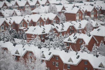 Cosy houses covered by snow in winter