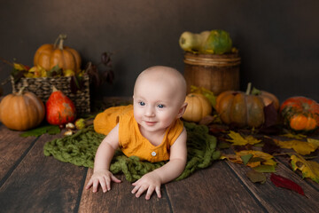small child lies in autumn decor. newborn boy in a basket. baby's first photo shoot
