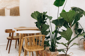 Cafe restaurant interior minimalist cozy wooden stylish design shelfs copy space, comfortable modern studio with plant flowerpot decor

