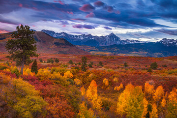 Colorado's Dallas Divide at autumn