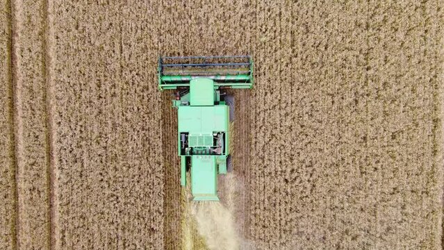 Colheita de trigo com máquina verde imagem de drone