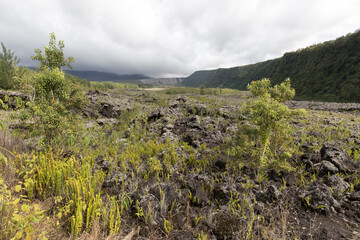 Fototapeta na wymiar A landscape view of volcanic soil in Reunion