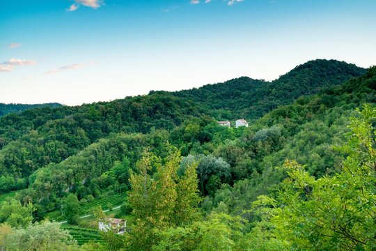 Colline venete