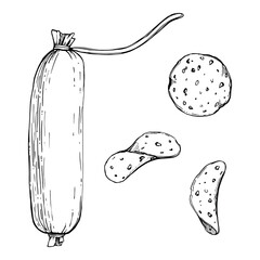 Hand drawn vector ink illustration. Pepperoni salami sausage stick and slices, pizza topping. Single object isolated on white. Design for restaurant, menu, cafe, food shop or package, flyer, print.