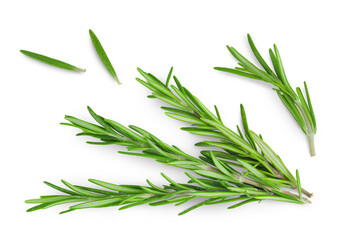 Fototapeta premium Rosemary twig and leaves isolated on white background. Top view. Flat lay