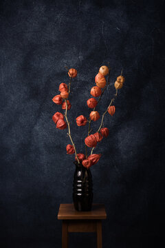 three painterly orange lantern flower branches in vase in studio 