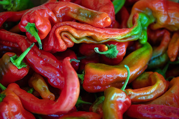Dark Red Chili Peppers in Espanola New Mexico United States