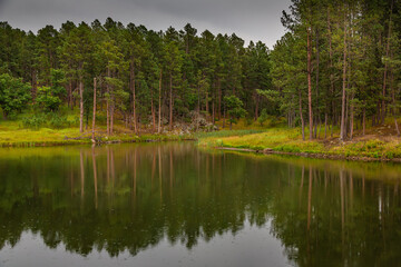 Obraz premium After the Rain