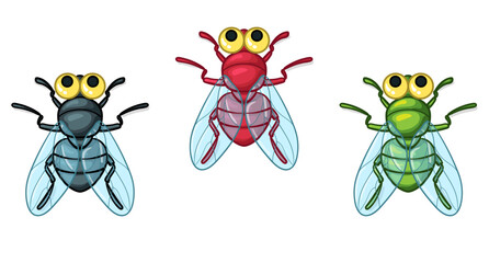 Colorful flies in cartoon style. Vector illustration of a fly isolated on a white background.
