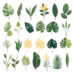 Flowers set graphic elements isolated, tropical leaves flowers themed clipart, monstera