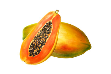 Watercolor sweet ripe composition of half a papaya with grains. Hand drawn realistic tasty organic illustration of exotic tropical fruit isolated on background. For designers, wedding, de