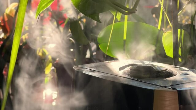 Water vapor comes out of the ultrasonic humidifier in the apartment. Close-up