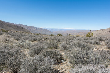 desert landscape in death valley