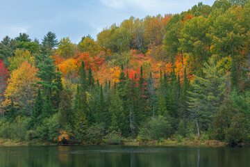 The Autumn Season at Wilson Falls in Bracebridge, Ontario