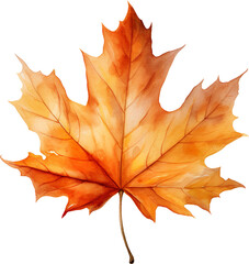 Naklejka na ściany i meble Autumn Maple Leaf Watercolor Clipart
