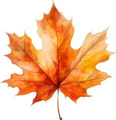 Autumn Maple Leaf Watercolor Clipart