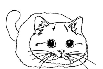 Animal - Pet - Adorable Cat - Kitten - Kitty illustration