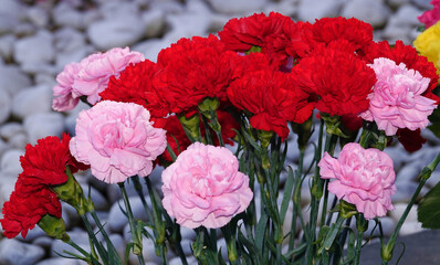Carnation flowers bouquet