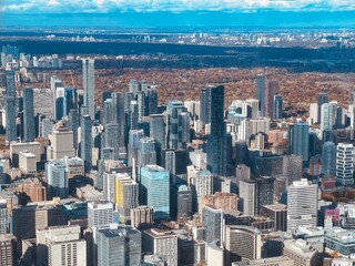 Fototapeta premium city