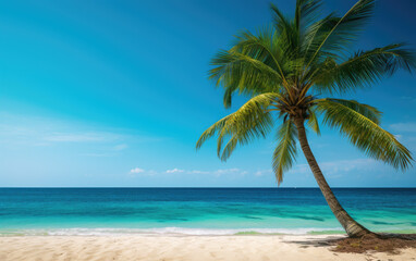 Fototapeta na wymiar Tropical beach with palm tree wallpaper background banner
